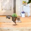 Iron Rooster Planter for Stylish Garden Decor